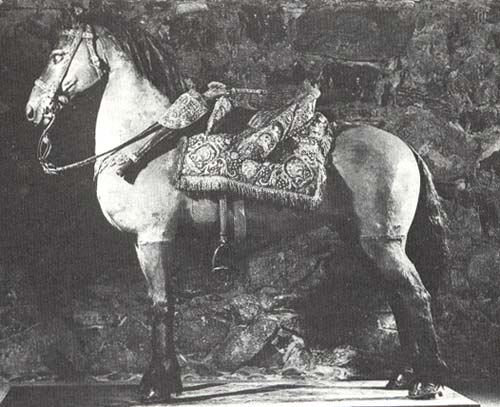 Gustaf II Adolfs Häst som kungen red i slaget vid Lützen 6 november 1632.