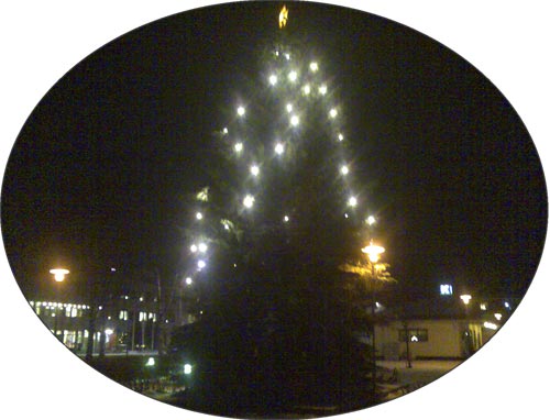 Stadens gran julen 2008.