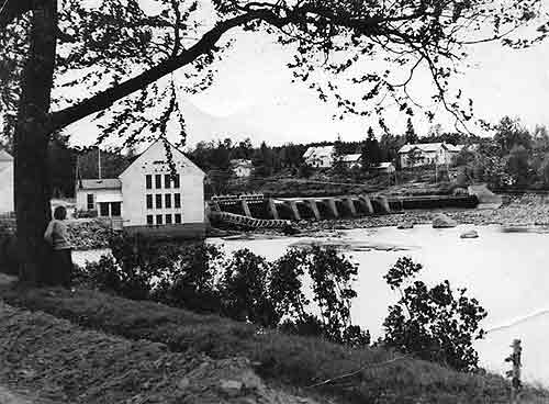 Kraftverket från Topeliparken år 1958. Regina Nybäck vid poppeln till vänster. 