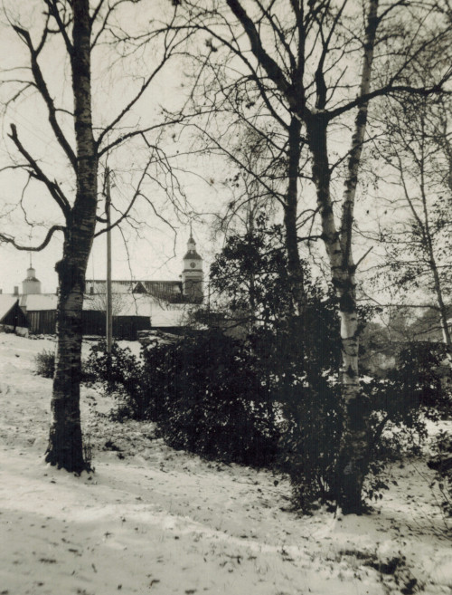 Floraparken från öster, slutet på 1930-talet. Tullkällaren i högerkant.